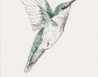 Hummingbird Pen and Ink Drawing, 4x6 Original Fine Art, Bird Sketch