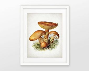 Mushroom art | Etsy