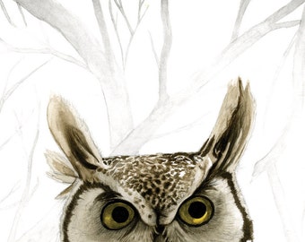 Hibou – Little Owl Giclee PRINT 5 x 7 (Super high-quality)