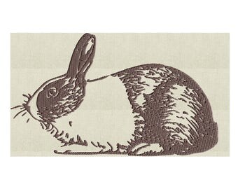 Dutch bunny rabbit | Etsy