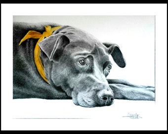 CUSTOM PET PORTRAIT from your favorite photo, Original Art, Dog Portrait, Custom Pet drawing, Labrador, Gift for her. Original Fine Art