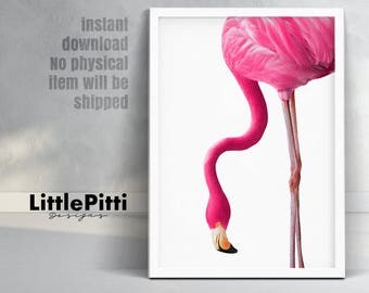 Flamingo print, pink nursery decor, nursery print, bird print, tropical print, digital, pink flamingo gift, pink animal print, bright print