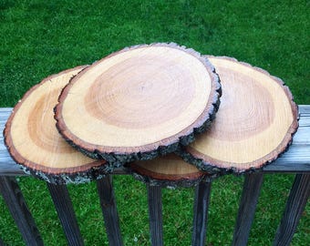 10 inch TREATED wood slice! Wood slice, 10