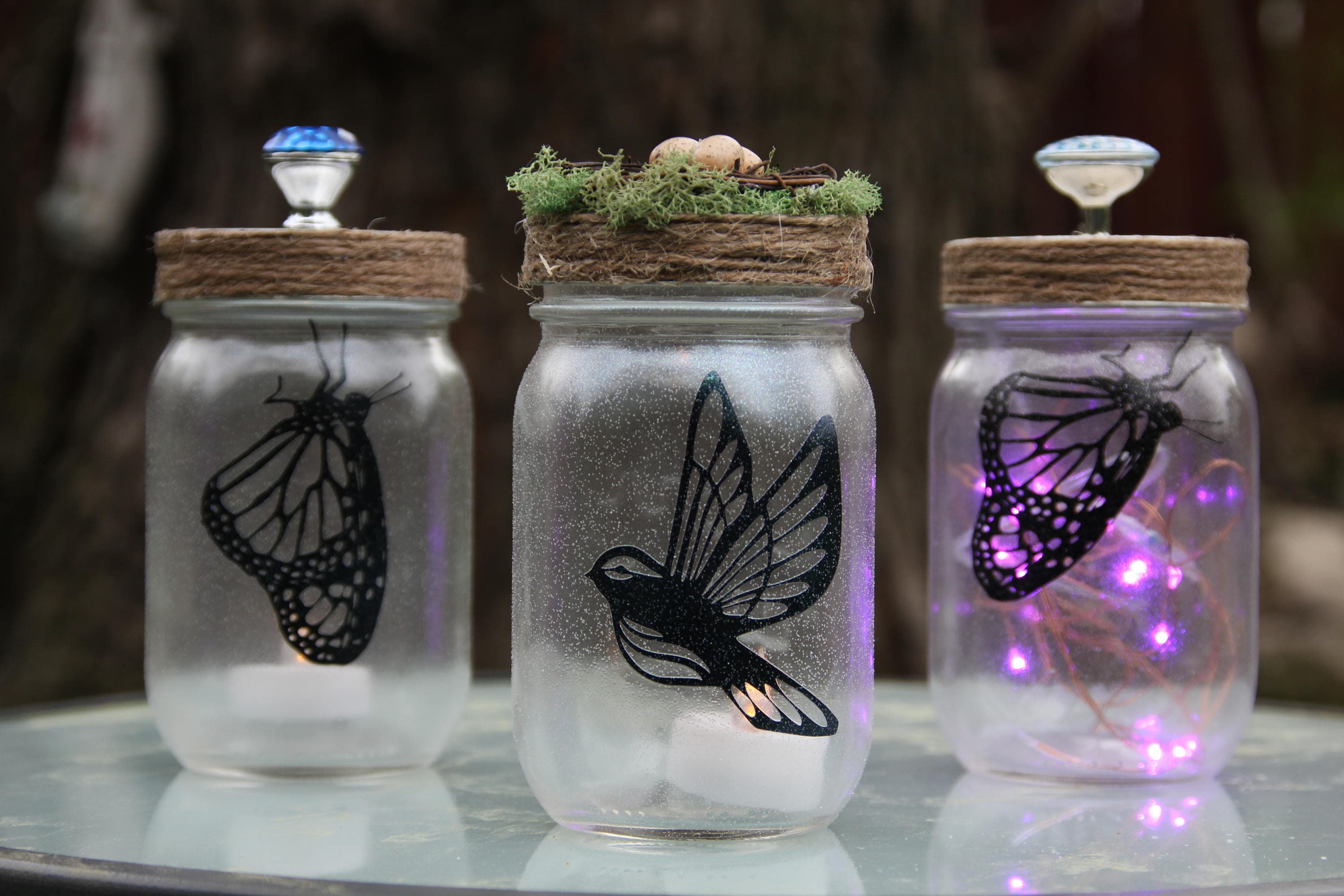 Bird Jars Butterfly Jars Small