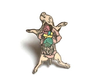 Dissected Pig Fetus Enamel Pin