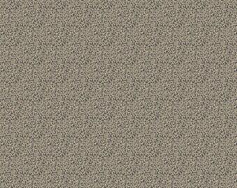 Fabric / Quilting Fabric / Trinkets by Kathy Hall / A8151K / Andover
