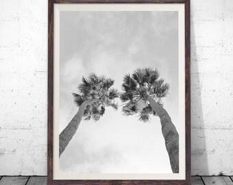 Palm Tree Print, Palm Print, Palm Tree Photography, Black and White, Printable Palm, Printable Palm Tree, Tropical Wall Art, Tropical Decor