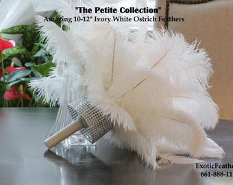 Limited Time! 1-100 Ostrich Feathers " The Petite Collection" Ivory White 10-12" ostrich feathers. Amazing Feathers. Wedding Centerpiece