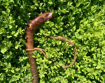 Rustic One Piece Alder Cane, Walking Stick, Walking Cane, Cane, Wooden Cane