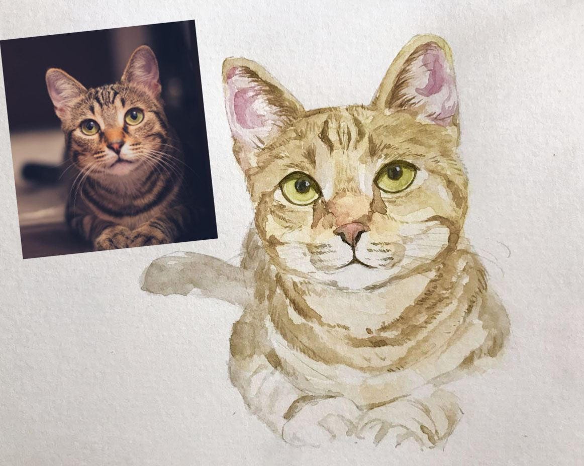 Custom Cat  Portrait Watercolor Cat  Painting  Watercolor Cat 