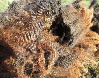 Raw Merino x Romney Fleece/raw Merino cross wool/unwashed wool/natural colored wool/raw white wool/unwashed sheep fleece/organic wool