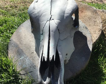 Decorative cow skull | Etsy