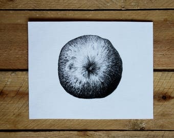 Original drawing "Apple" / from the series kind of fruity / graphite