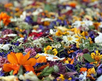 Dry Petals, Wedding Confetti, Pastel, Real Confetti, Aisle Decor, Flower Girl, Lavender, Dry Flower, Wedding Decoration, 2 US cups Confetti