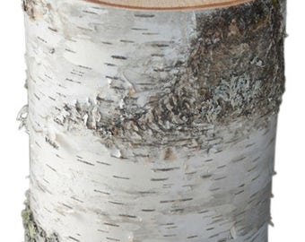 Birch Tree Stump Large 10 1/2" to 12" D x 4" to 24" Tall