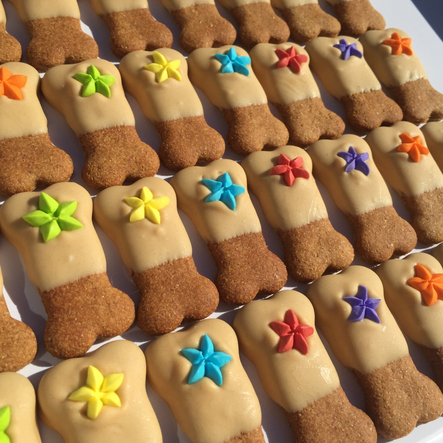 Gourmet Dog Treats Best Friend Bones Decorated Dog Treats
