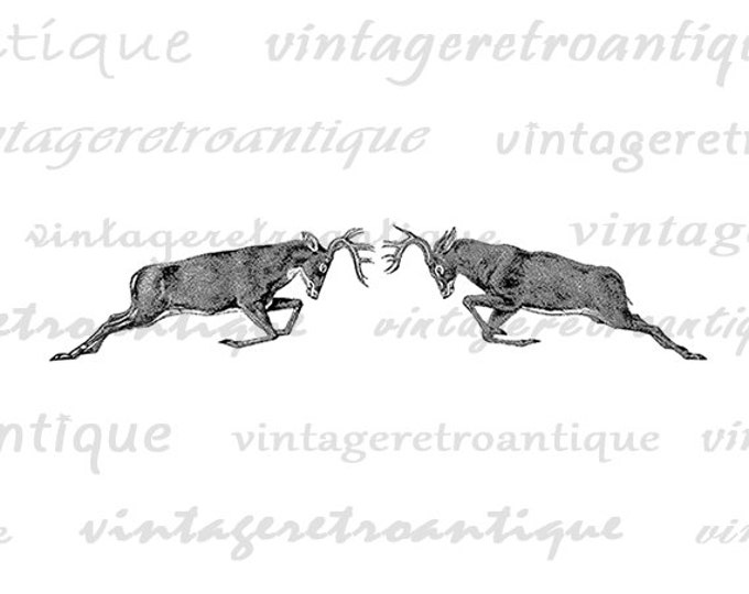 Two Deer Printable Graphic Download Antlers Battle Digital Image Vintage Clip Art Jpg Png Eps HQ 300dpi No.637