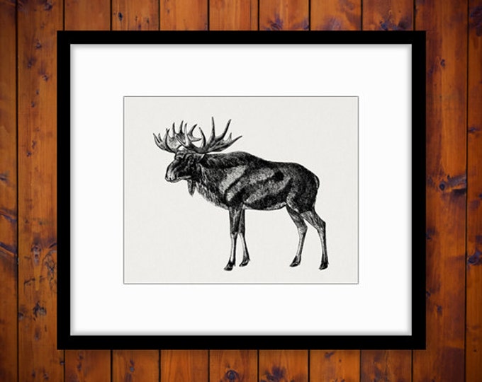 Printable Digital Scandinavian Elk Graphic Image Download Artwork Antique Clip Art Jpg Png Eps HQ 300dpi No.2184