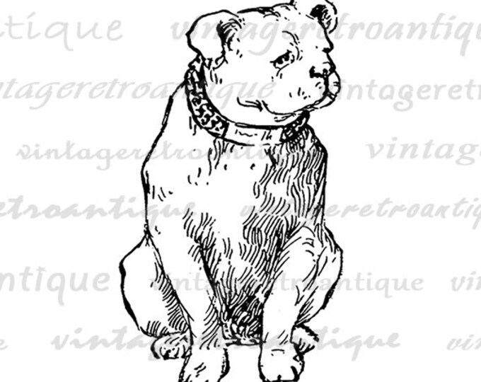 Digital Printable Antique Dog Image Cute Antique Graphic Download Vintage Clip Art Jpg Png Eps HQ 300dpi No.287