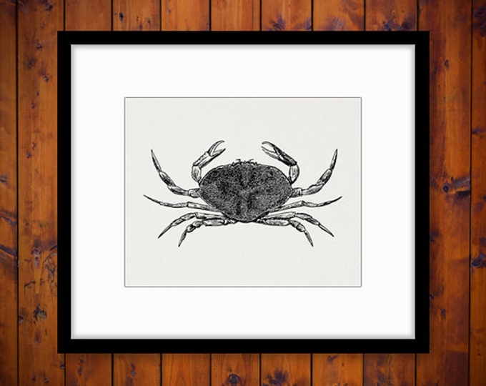 Digital Printable Crab Download Sea Ocean Graphic Illustration Image Vintage Clip Art Jpg Png Eps HQ 300dpi No.3268