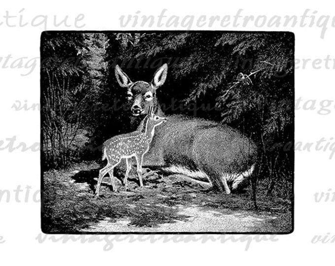 Printable Graphic Deer with Fawn Digital Antique Image Download Vintage Clip Art Jpg Png Eps HQ 300dpi No.765