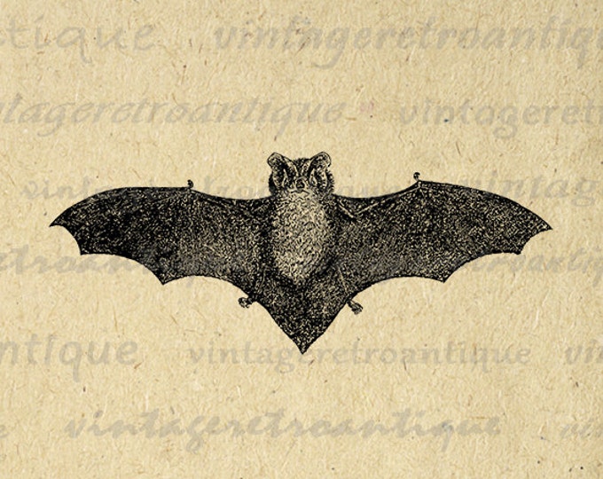 Printable Digital Antique Bat Image Halloween Download Graphic Vintage Clip Art Jpg Png Eps HQ 300dpi No.450