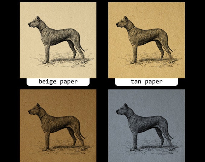 Printable Antique Dog Graphic Download Digital Image Illustration Vintage Clip Art Jpg Png Eps HQ 300dpi No.4163