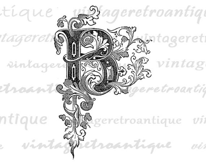 Elegant Letter B Digital Graphic Printable Floral Design Ornament Download Image for Transfers Pillows HQ 300dpi No.744