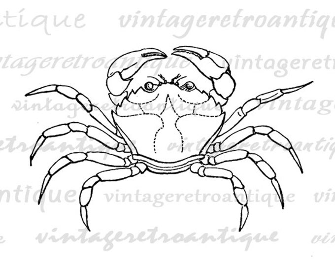 Printable Digital Crab Image Download Ocean Artwork Sea Graphic Jpg Png Eps HQ 300dpi No.581