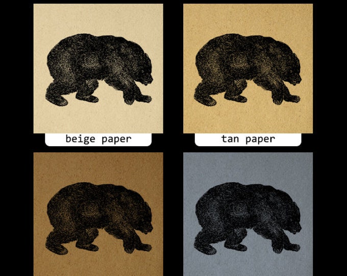 Digital Printable Grizzly Bear Graphic Download Image Illustration Vintage Clip Art Jpg Png Eps HQ 300dpi No.4082