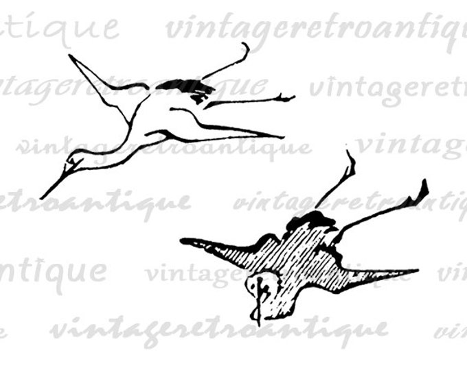 Digital Image Two Birds Download Flying Birds Graphic Illustration Printable Vintage Clip Art Jpg Png Eps HQ 300dpi No.1590