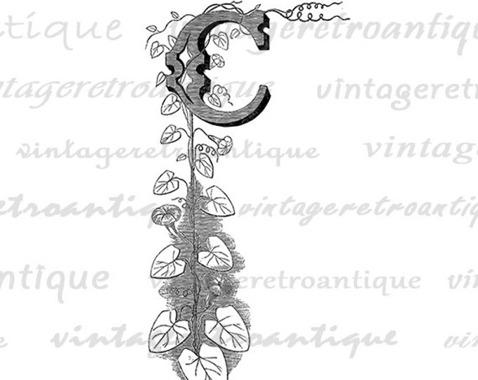 Letter C with Floral Design Image Printable Graphic Design Element Download Digital Antique Clip Art Jpg Png Eps HQ 300dpi No.677