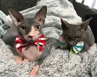 Sphynx Cat Clothes Cat Toys Pet Supplies by SimplySphynx on Etsy