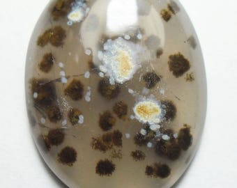 Gray purple with brown moss la burbuja agate cab (E2683)
