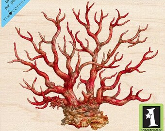 Inkadinkado Wood Mounted Rubber Stamp, Coral Rubber Stamp by Tim Coffey, Nautical Stamp