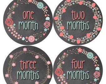 Monthly Baby Stickers Baby Month Stickers Baby by MonthsinMotion