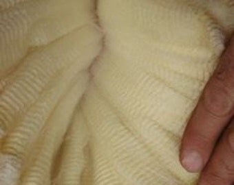 50gms Washed Fine Lambs Wool