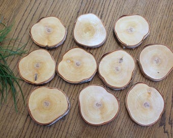 12 x 4'' Birch Wood Slices / Odd Shaped Birch Slices / Large Wood Slices / Non Circular Wood Slices / Wood Slice Crafts