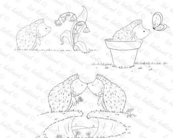 Hedgehog bundle