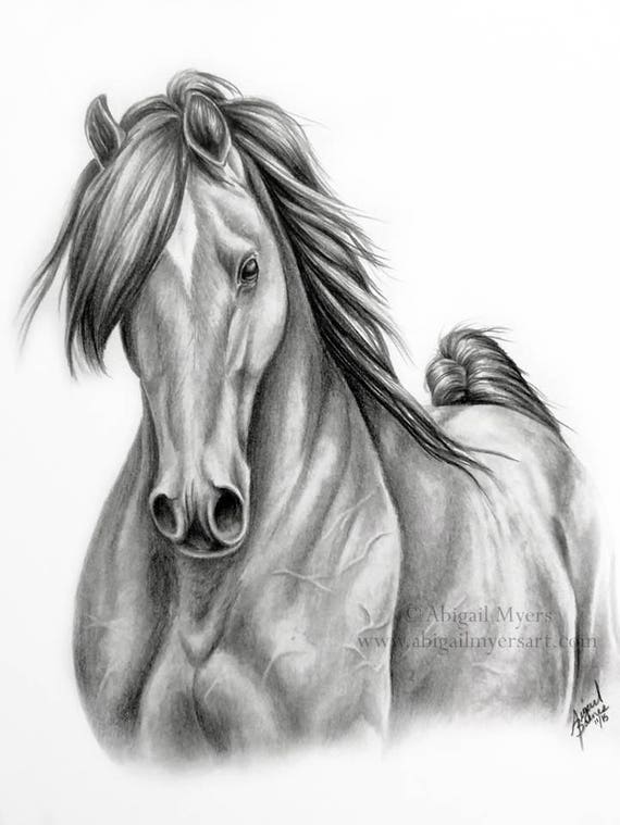 Custom Horse Pencil Portrait 11 x 14 Graphite Drawing 