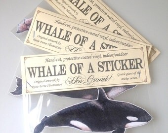 Giant Whale Sticker - choose from 5 whales species - indoor/outdoor vinyl- perfect stocking stuffers