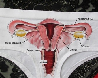Vagina panties,Vagina underwear,feminist,girl power,LGBT,love always wins,uterus undies,uterus panties,lgbt pride, Women's Lingerie