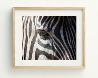 Zebra Wall Art zebra wall art | etsy Zebra Wall Art zebra wall art | etsy