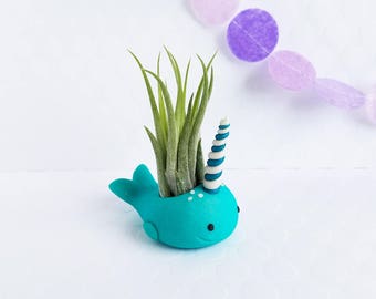 Narwhal Air Plant Holder, Air Planter, Gift For Her, Ocean Decor, Desk Accessory, Office Decor, Gift Women, Best Of Summer, Tropical Gift
