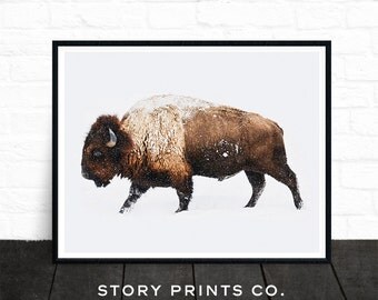 Buffalo Print, Bison Print, Large Wall Art Print, Animal Prints, Animal Poster Art, Living Room Art, Boys Bedroom Decor, Farmhouse Decor