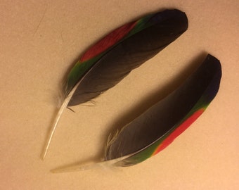 10 Plumes De Perroquet Ailes Vertes 9 à 19 Cm - Pour Artisanat Et Attrape-rêves