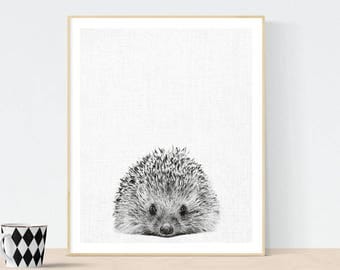 Hedgehog Print, Hedgehog Photo, Hedgehog Wall Art, animal print, Nursery Decor, Black and White Animal Photography, scandinavian print