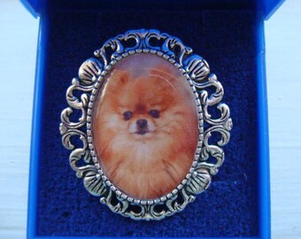 POMERANIAN Brooch, Pin brooch, Bracelet and earrings NEW