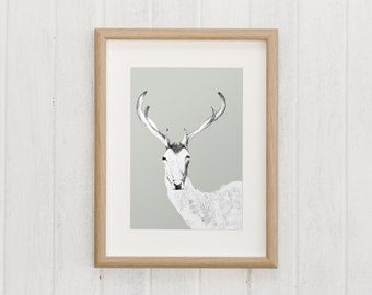 Deer illustration | Macaroom Kids
