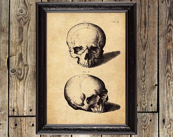 Memento Mori, Skeleton, Death, Gothic poster, Dark, Occult, Medieval, Dance of death, Magic print, skull, Skeleton poster, Gothic, print 105